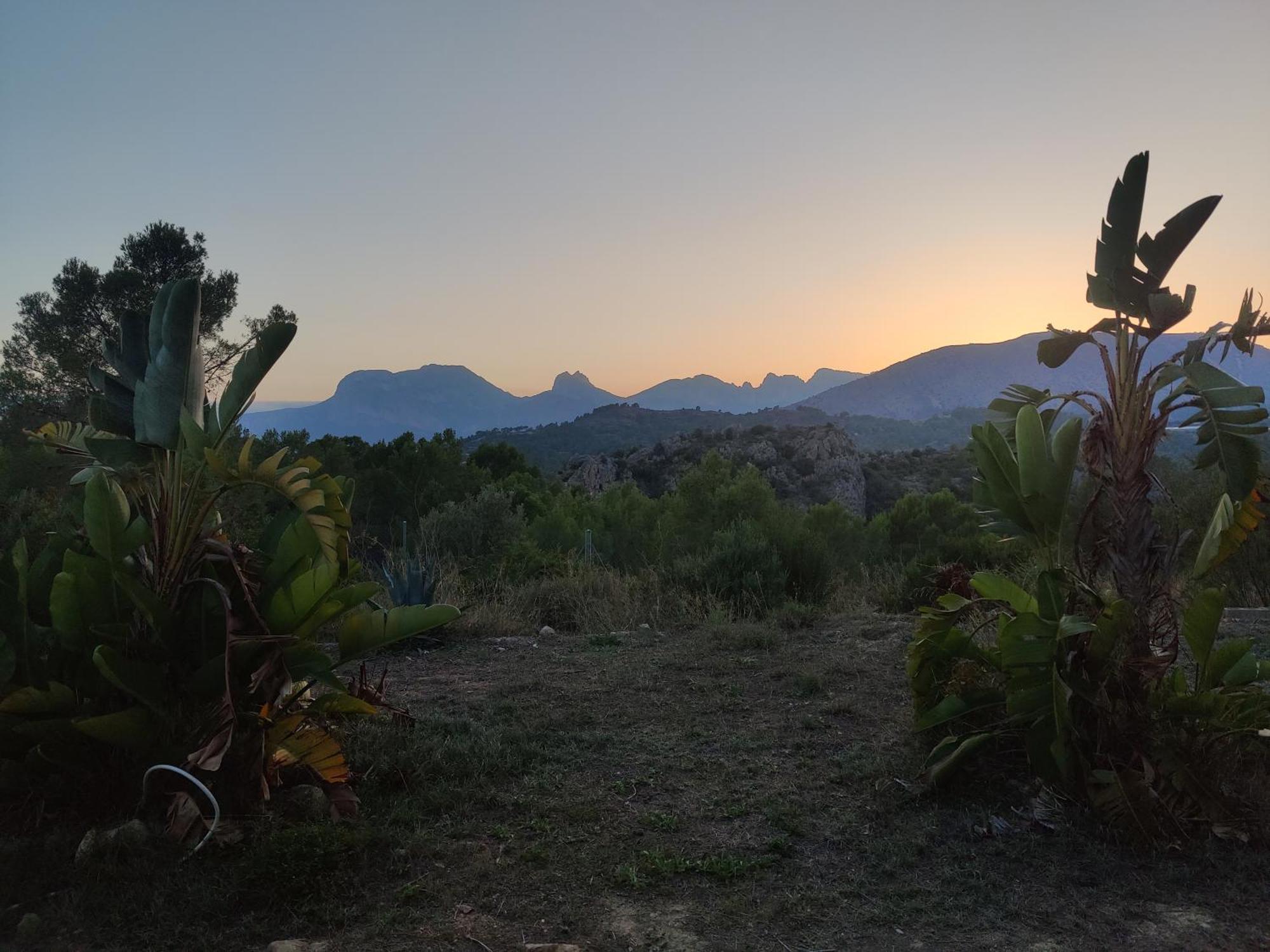 Finca Caracol Bolulla Eksteriør billede